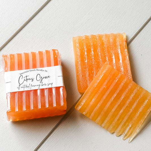 Citrus Grove Foaming Bar Soap – Aloe Vera + Glycerin Hydration